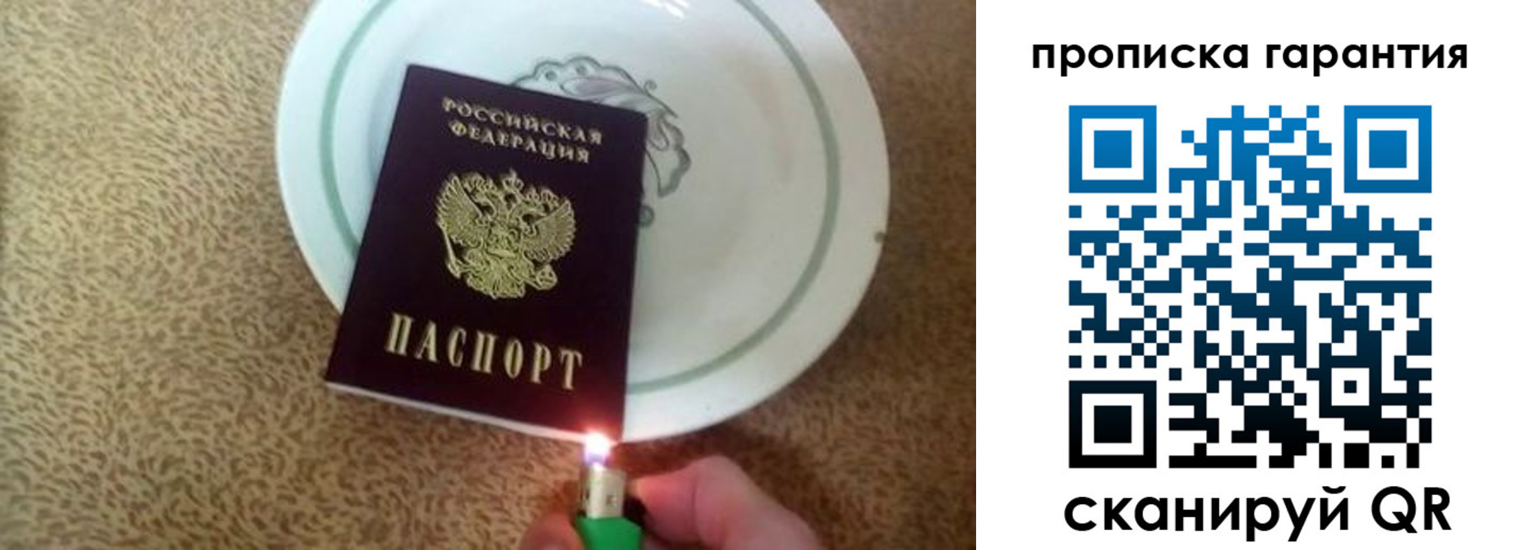 прописка гарантия в Белгородской области